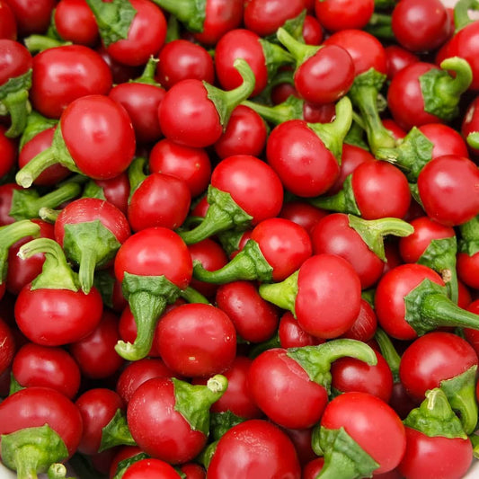 Hot Pepper Round Shaji Seeds Exotic Vegetable Seeds