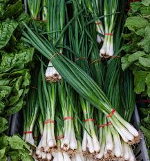 Fresh Spring Onions (Bunching Onions) - Crisp, Flavorful, and Versatile Exotic Vegetable Seeds