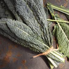 Nero Kale - Fresh Organic Kale Leaves for Healthy Living Exotic Vegetable Seeds