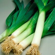 American Flag-Inspired LEEK Design – Bold and Patriotic Home Decor Exotic Vegetable Seeds