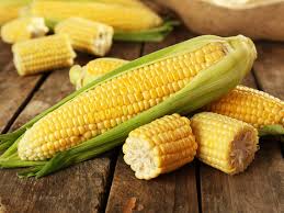 Premium Sweetcorn Vegetable Seeds – High Yield, Non-GMO, and Easy to Grow