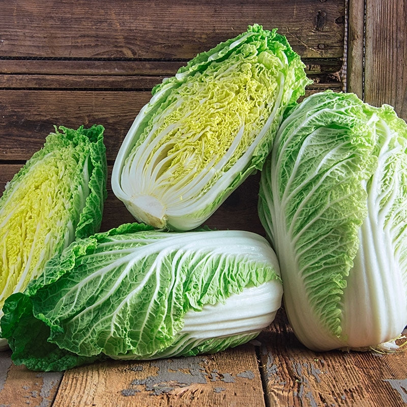 Fresh Chinese Cabbage Green Veggies Exotic Vegetable Seeds