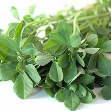 Kasuri Methi Seeds – Premium Quality Dried Fenugreek Leaves for Flavorful Dishes