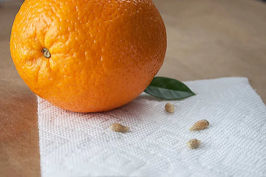 Sweet Juicy Orange Fruit Seeds