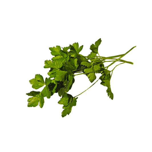 Parsley Common Flat Leaf Exotic Vegtable Seeds