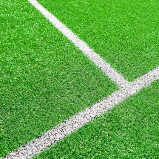 Premium Lawn Grass for Sports Fields Seeds