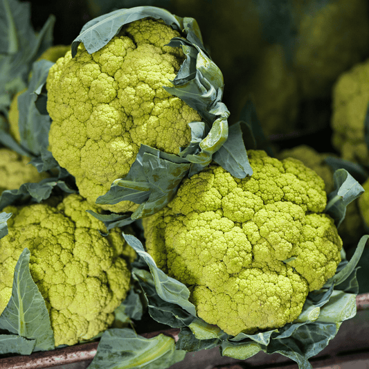 Fresh Green Cauliflower - Verdant & Nutritious Exotic Vegetable Seeds