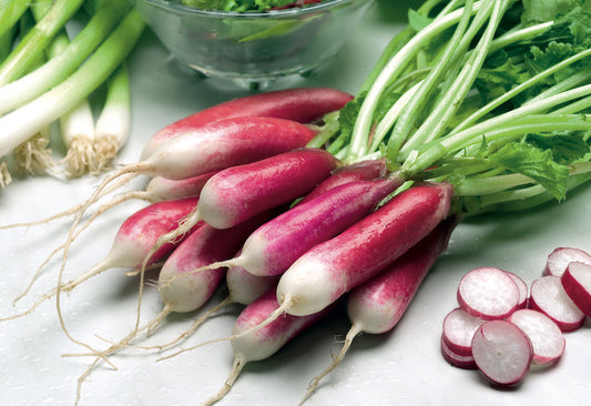 Radish Half Red & White  Vegetable Seeds