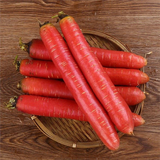 Carrot Selection Red Vegetable Seeds