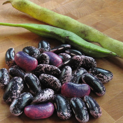 French Beans Imported OS Black Seeded Vegetable Seeds