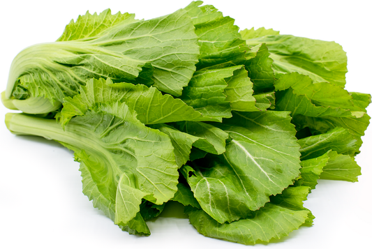Mustard Indian Sarso Leaf Vegetable Seeds