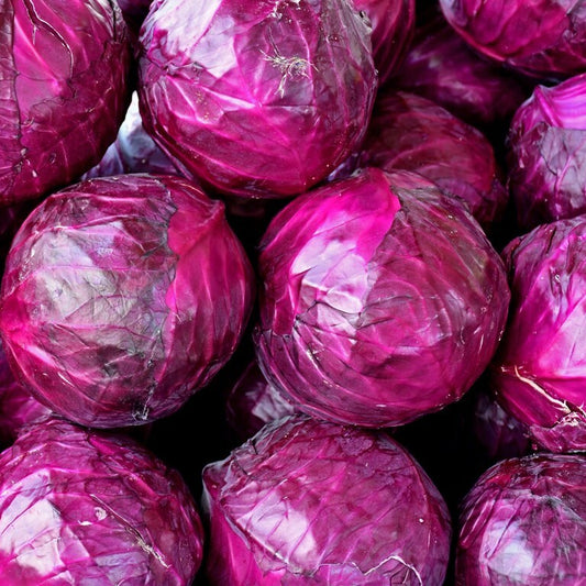 Red Cabbage - Fresh & Organic Topas Variety Exotic Vegetable Seeds