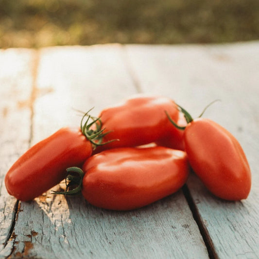 Tomato Heirloom San Marzano 3 Vegetable Seeds