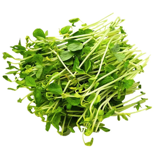 Snow Dwarf Green Shoots Leaf Microgreens Seeds