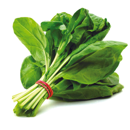 Palak (Spinach) Vegetable Seeds - High Yield, Fresh & Nutritious
