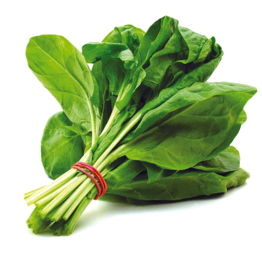 Palak (Spinach) Vegetable Seeds - High Yield, Fresh & Nutritious