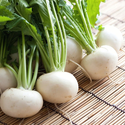 White Round Radish Microgreens Seeds