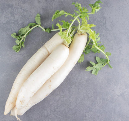 Radish All Season Vegetable Seeds