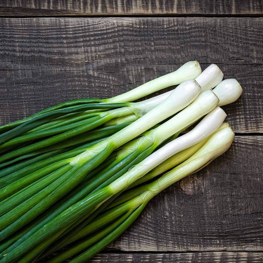 Onion White Globe Vegetable  Seeds